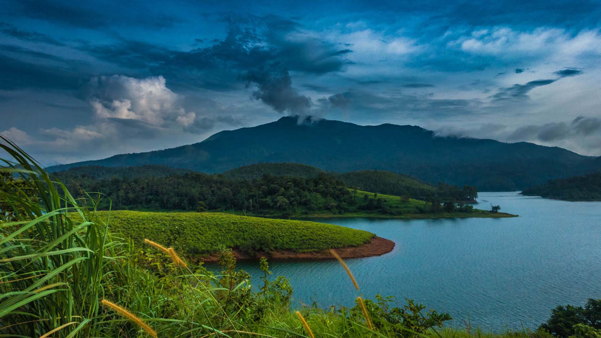 Wayanad Tour Package From Bangalore (4D/3N) : Kerala's Hidden Gem - Image 4
