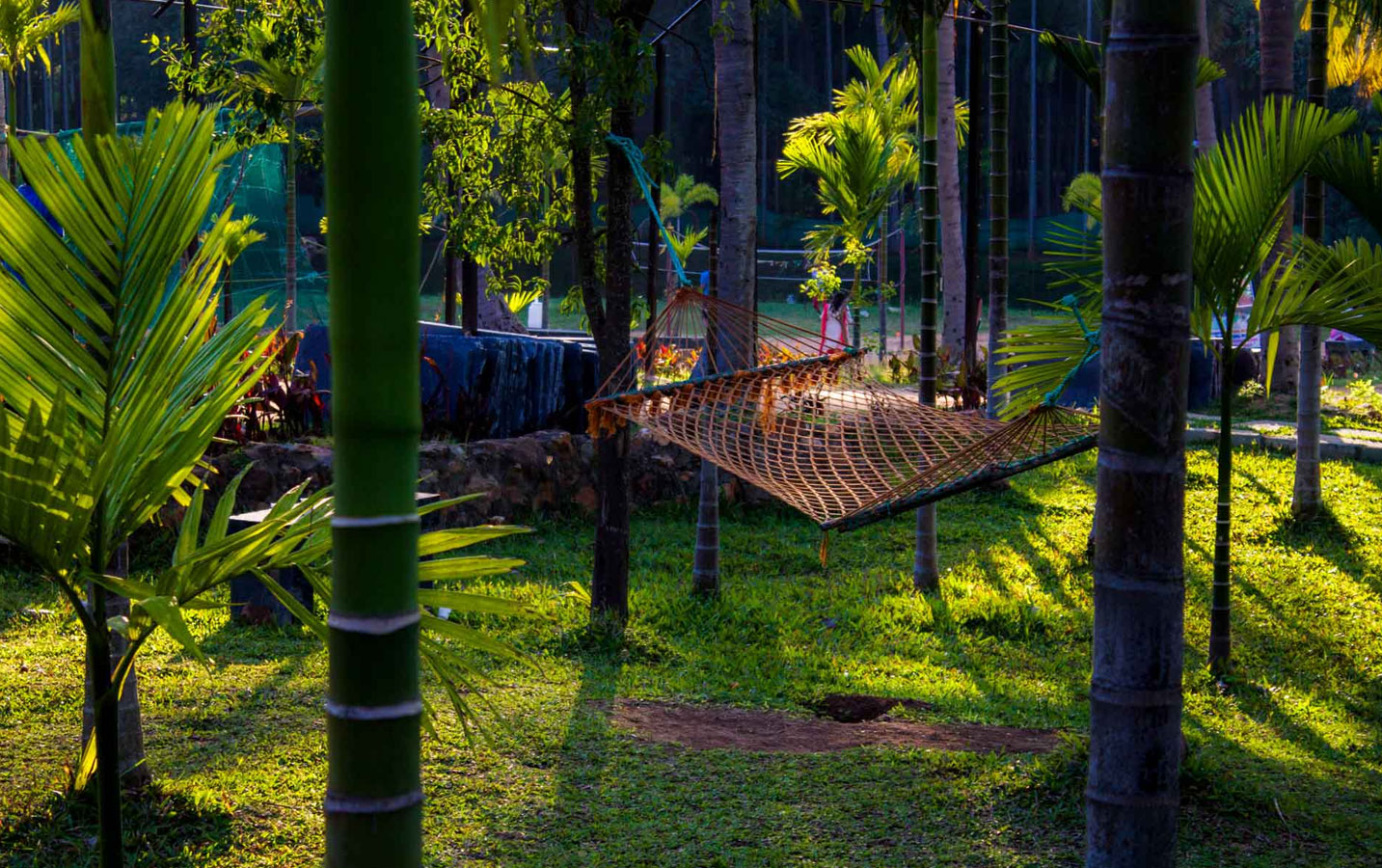 Khedda Resort Bangalore Day Out - Image 5