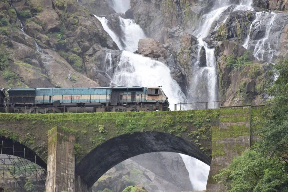 Dudhsagar WaterFall Trek - Image 2