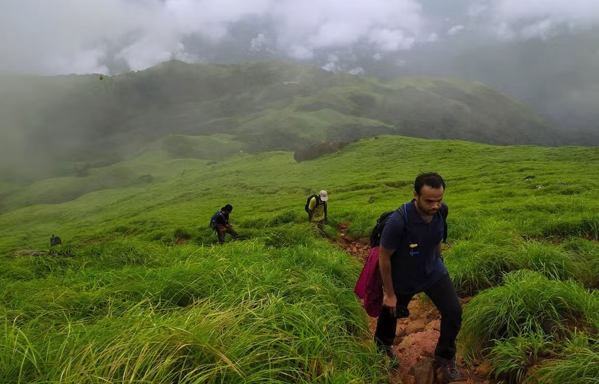 Kumara Parvatha Trek, Coorg - Image 3