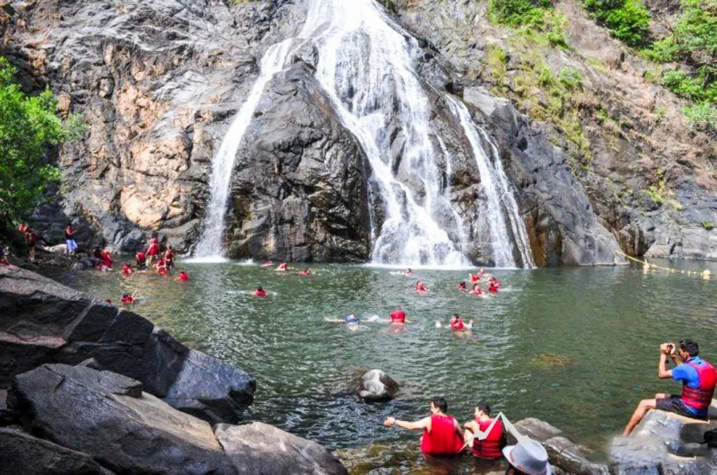 Dudhsagar WaterFall Trek - Image 3