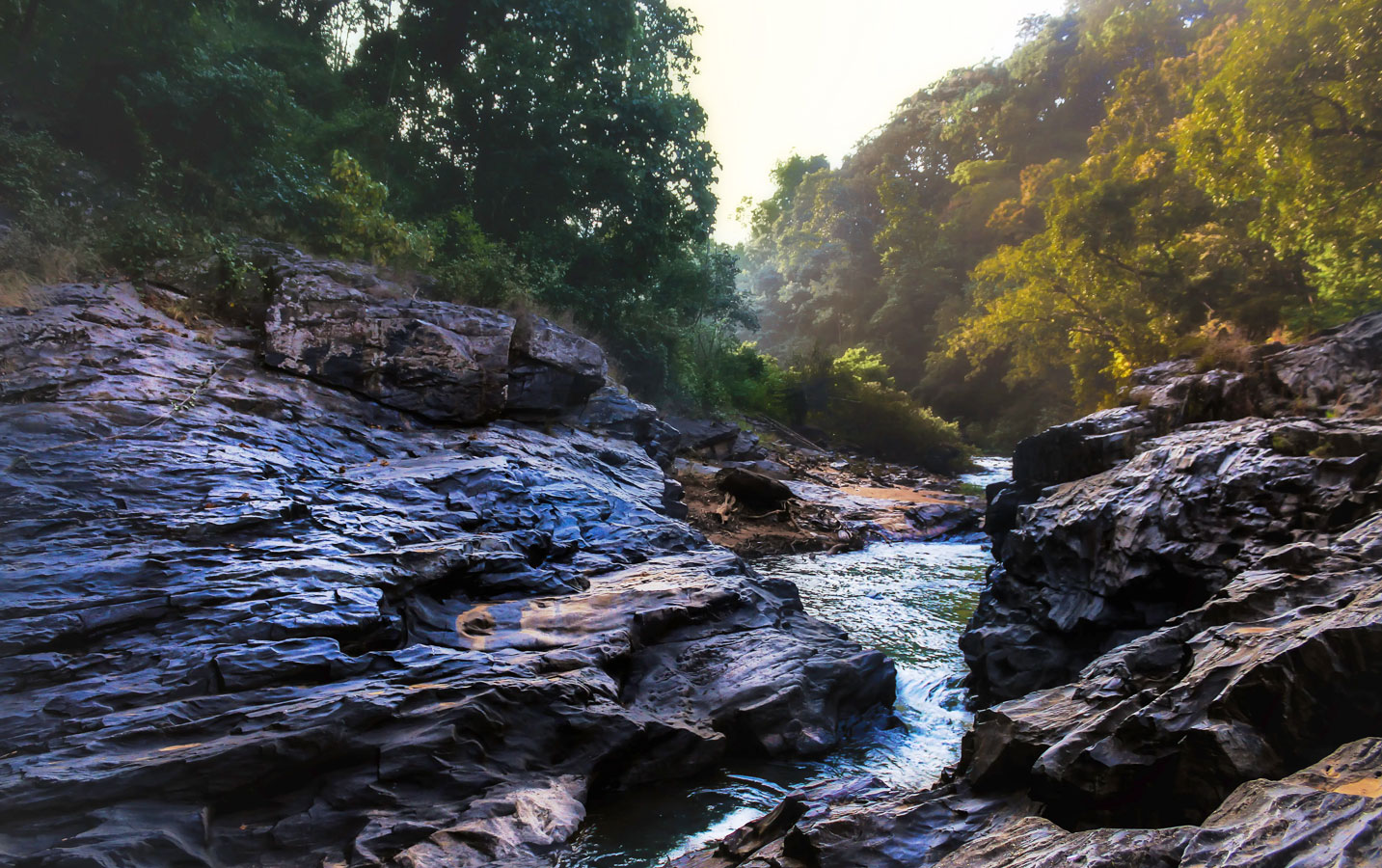 Dandeli Tour Package from Bangalore - Image 3