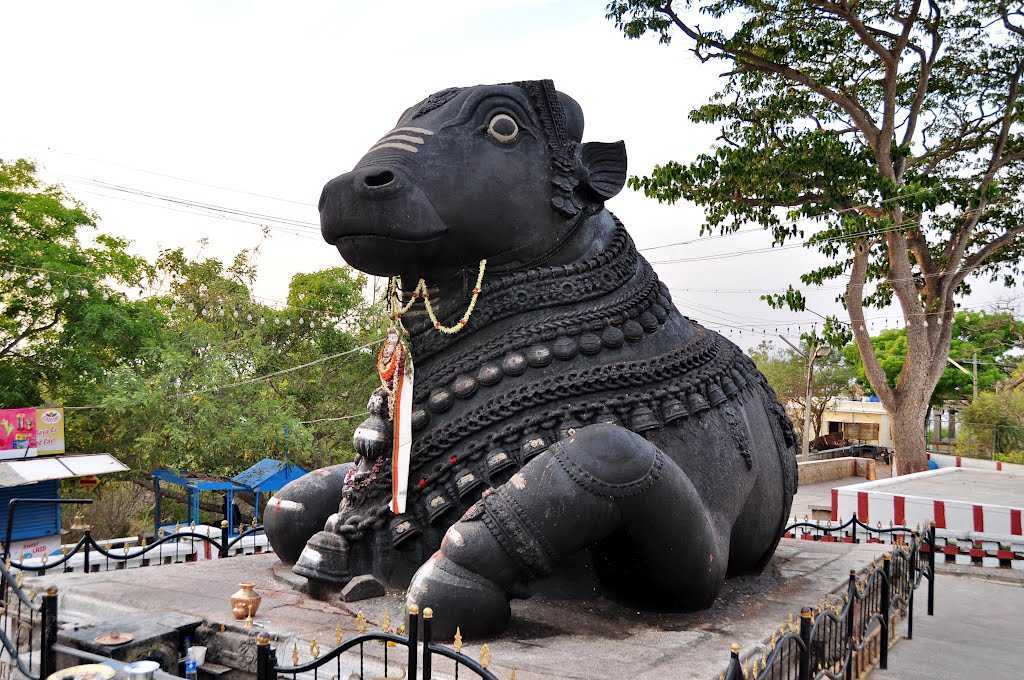Bangalore Heritage Walk - Image 4