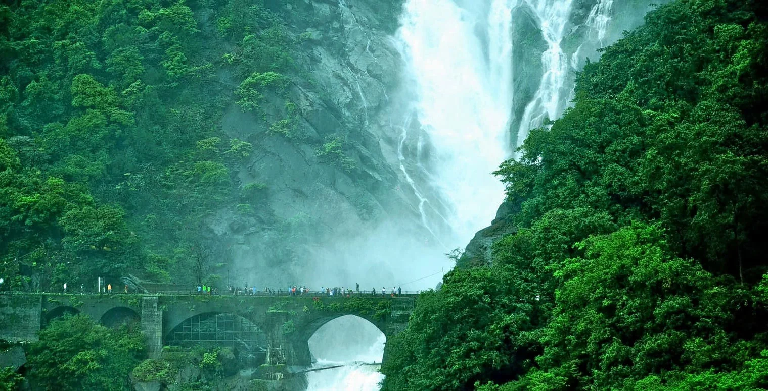 Dudhsagar WaterFall Trek - Image 5
