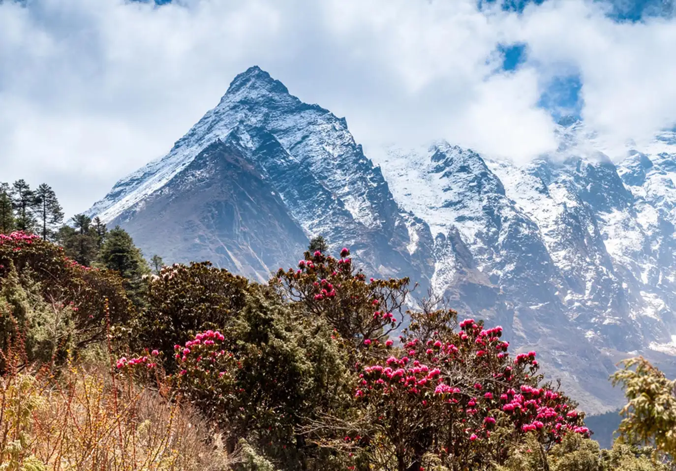 Darjeeling to Gangtok - A Detailed Travel Guide