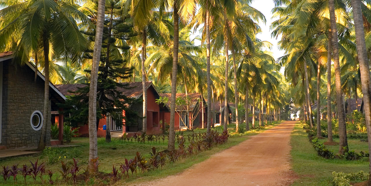 10 Forest Resorts in Kerala