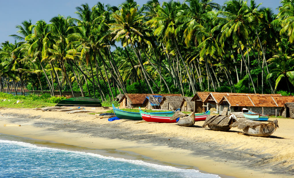 10 Things to Do in Goa in D͏ec͏em͏ber