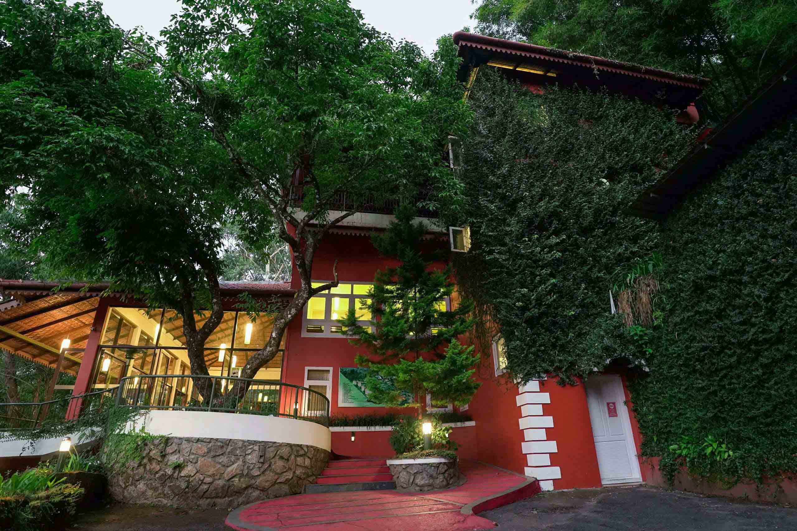 Best Budget Honeymoon Resorts in Munnar