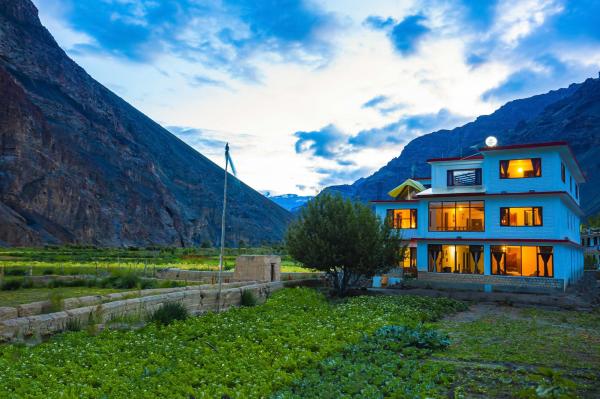 Best Tabo Homestays