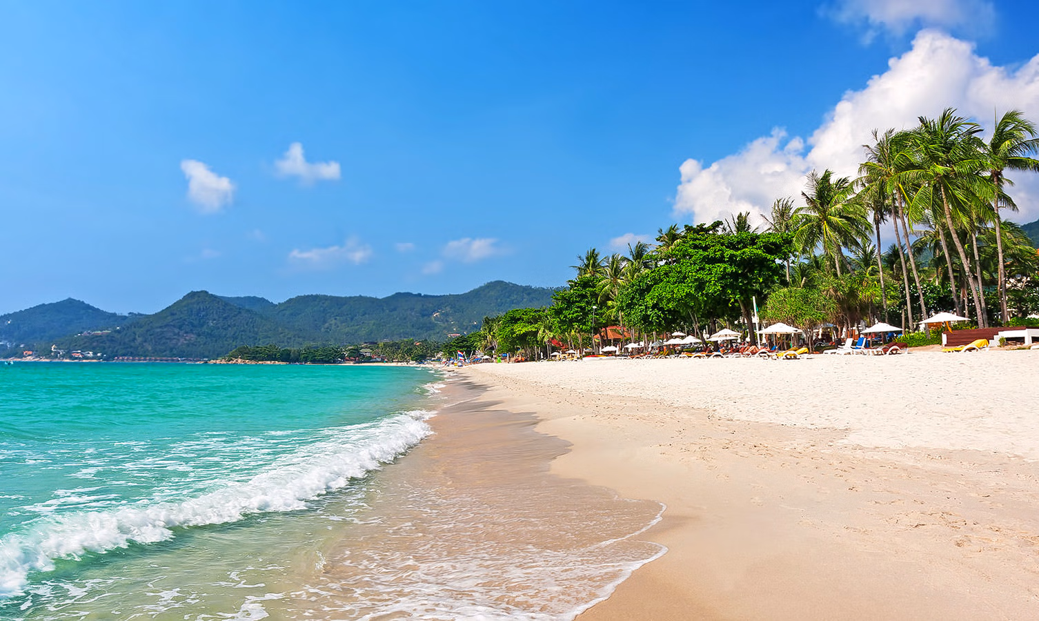 Things to Do In Koh Samui At Night