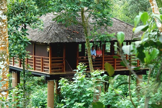 20 Tree Houses in Kerala