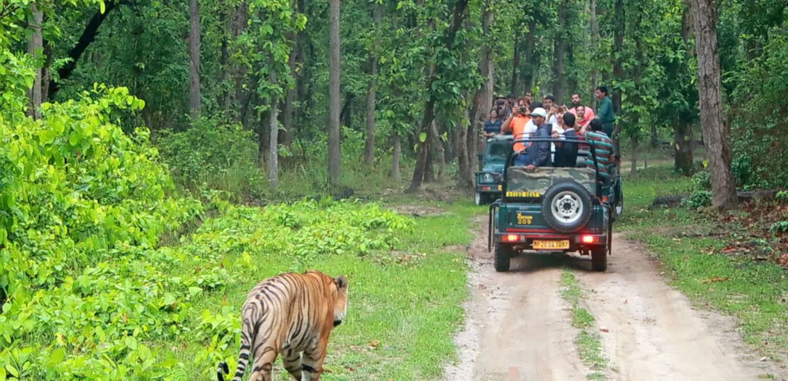 National Parks in Karnataka You Must Visit for a Wild Adventure!