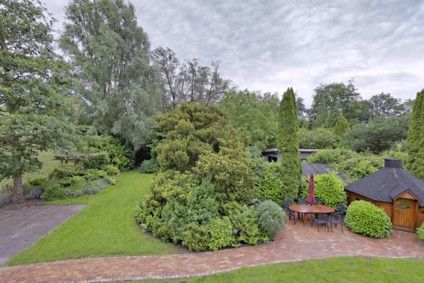 Blick in den Garten