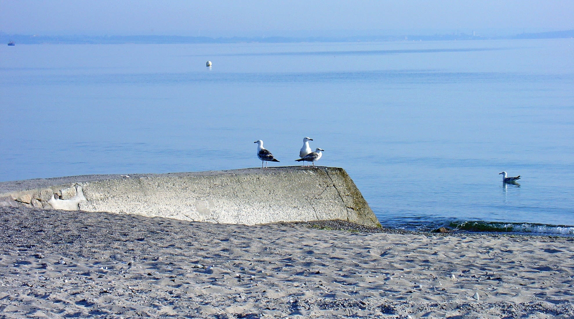 Leerer Strand, ruhige Ostsee