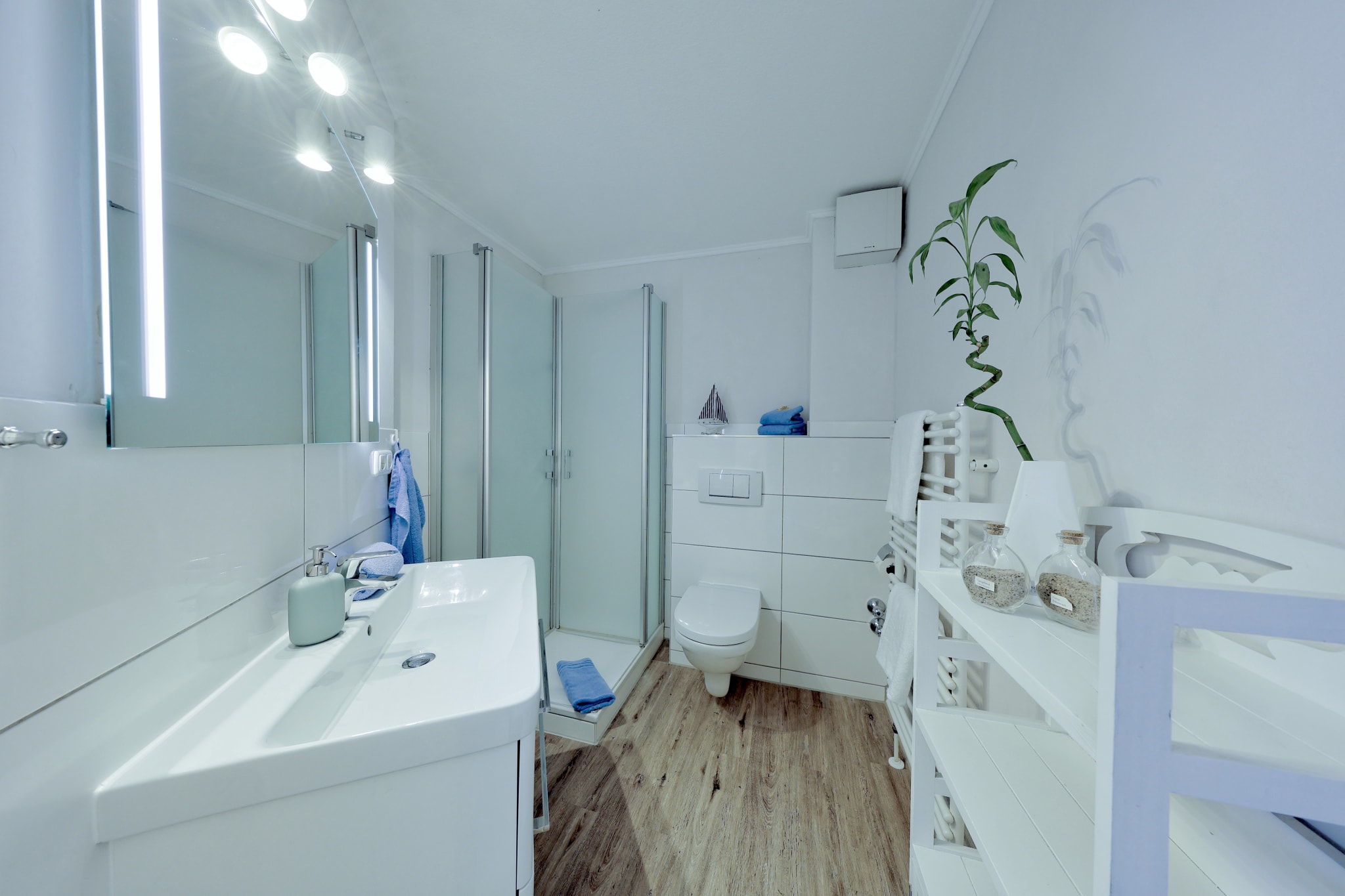 Badezimmer mit Dusche und WC