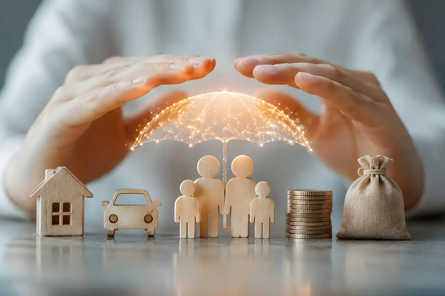 Risk, Insurance & Investment