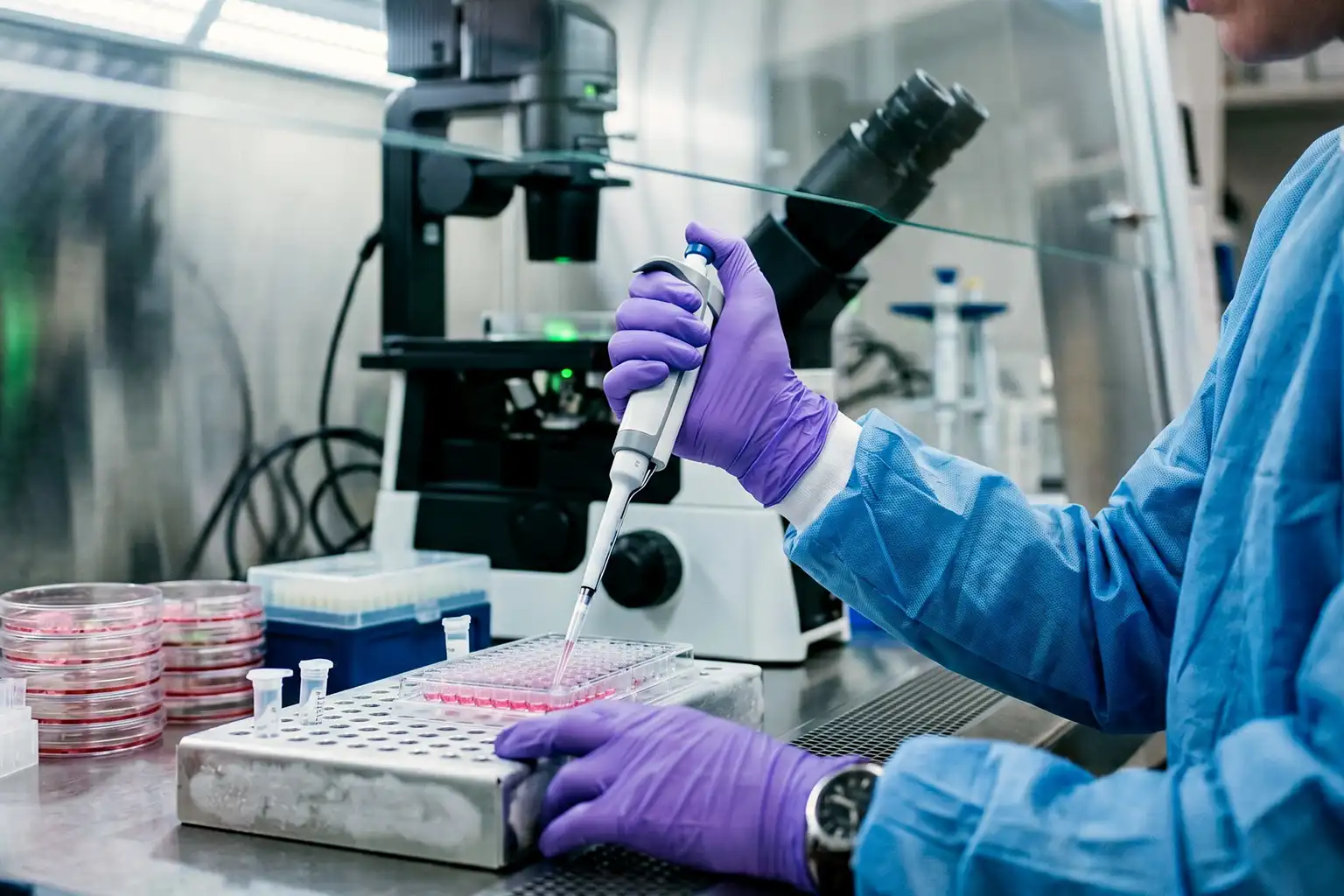 Biomedical & Laboratory Science