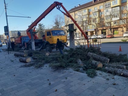 Когда деревья были большими. В Черкесске идет война между деревьями, машинами и ... чиновниками. В итоге город лысеет... И кто победитель?!