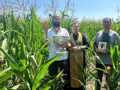 Настоятель совершил молебен на полях фермеров