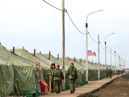 Льготы для участников специальной военной операции и членов их семей