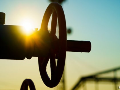 Провал или диверсия: ученый поставил «кол» экономическому блоку правительства РФ