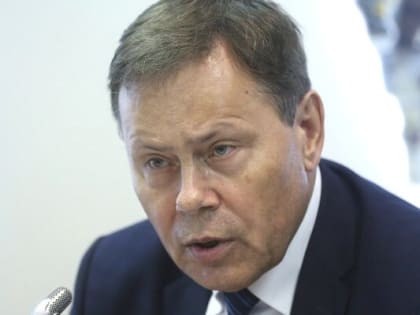 Николай АРЕФЬЕВ: Лоббисты хапка. Пора, наверное, власть применить к тем, кто не хочет нашей стране добра