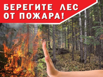 Берегите лес от пожара!