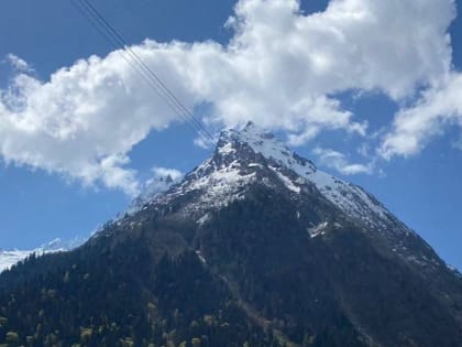 В Карачаевском городском округе прошли мероприятия по отлову бродячих собак