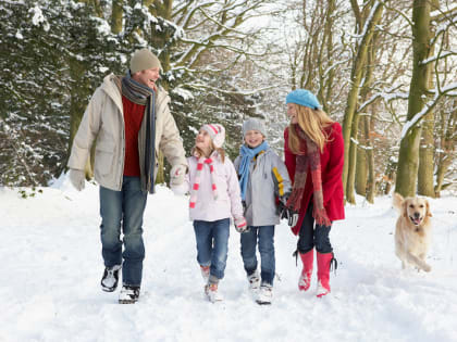 7 самых полезных продуктов зимы