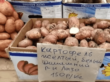 За 2 месяца картошка подорожала вдвое. 100 рублей за кило - уже не редкость. Что творится с ценами?