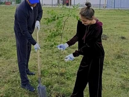 В Карачаево-Черкесии посадили 70 деревьев и собрали 26 тонн мусора