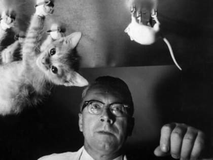 Неистребимы полчища лжецов. Неожиданное сообщение появилось вчера в лентах информационных агентств...