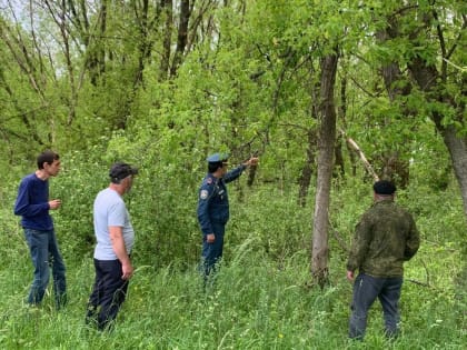 Сотрудники МЧС проводят патрулирование лесопарковых зон