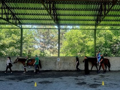 В центре иппотерапии началась реабилитация участников СВО