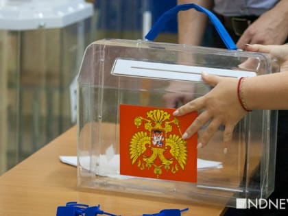 «Это никуда не годится»: коммунисты в Госдуме объяснили необходимость нового Избирательного кодекса