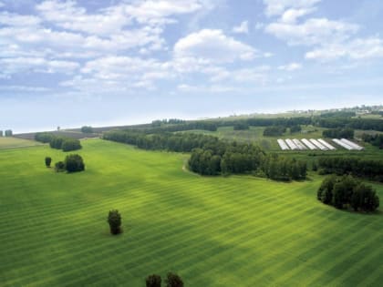 Чтобы налог не пришлось пересчитывать, подайте заявление о льготе