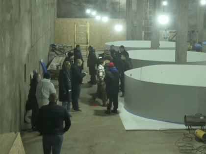 Открытие полноценного центра реабилитации птиц в Анапе позволит помогать им восстанавливаться для возвращения в природу