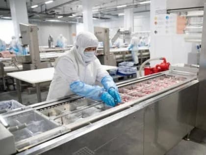 ГК «Дамате» в 2024 году увеличила объемы производства баранины в Карачаево-Черкесии на 24% по сравнению с 2023 годом