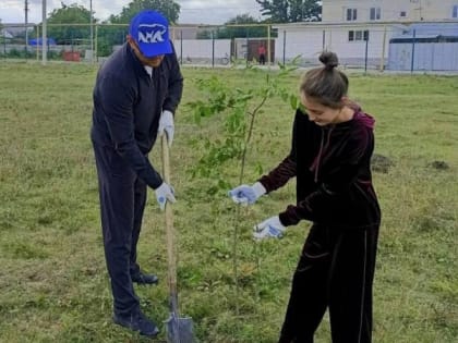 В Карачаево-Черкесии посадили 70 деревьев и собрали 26 тонн мусора