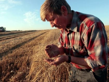 Доля народа – в чем счастье его?