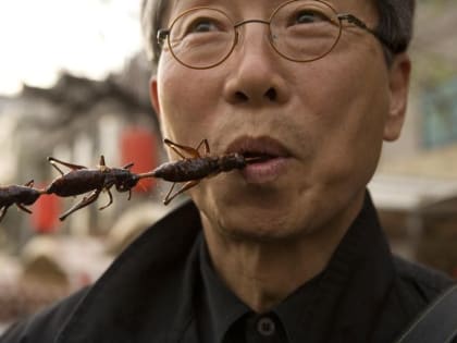 Депутат Сергей Обухов про муку «жужжащего помола» на полках продуктовых магазинов: отменяется, пока...