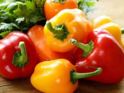 Болгарский перец – для бодрости и иммунитета
