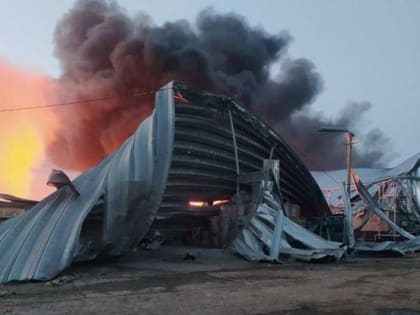 ПОДПОЛЬЩИКИ: РАЗГРОМЛЕНЫ БАЗЫ И КОРАБЛИ. Порт Измаила превращен в пепел, экипажи турецких, израильских, греческих зерновозов молят бога, чтобы уцелеть. Дунай в огне. Прорыв нашей б