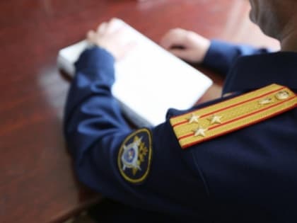 Ранее судимый житель республики предстанет перед судом по обвинению в совершении особо тяжкого преступления