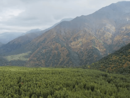 В лесах Карачаево-Черкесии установилась малая пожароопасность