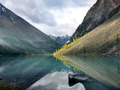 Жители Карачаево-Черкесии могут принять участие в масштабном российском фотоконкурсе дикой природы