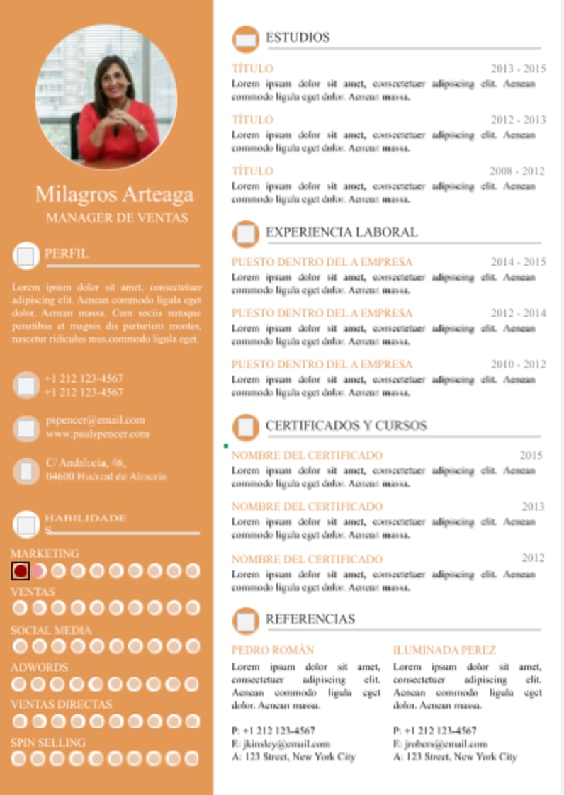 plantilla de currículum funcional