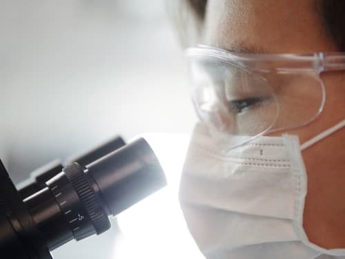 drug development