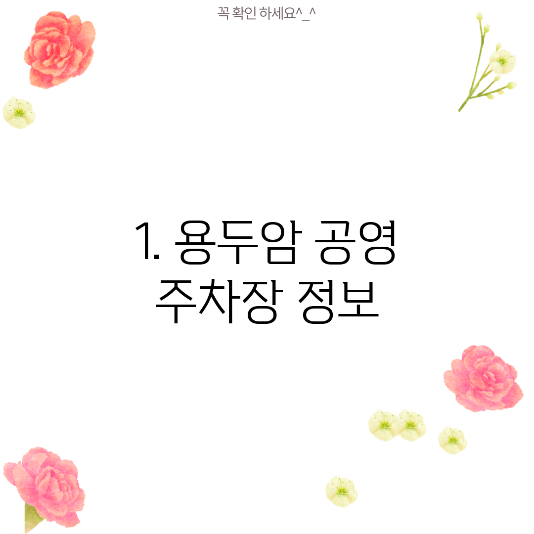 1. 용두암 공영 주차장 정보