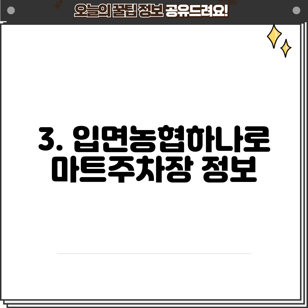3. 입면농협하나로마트주차장 정보